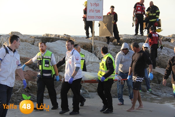 jotha northyaffa dolfan (1).JPG